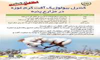 اطلاعیه ترویجی عارضه  کنترل بیولوژیک آفت کرم غوزه در مزارع پنبه